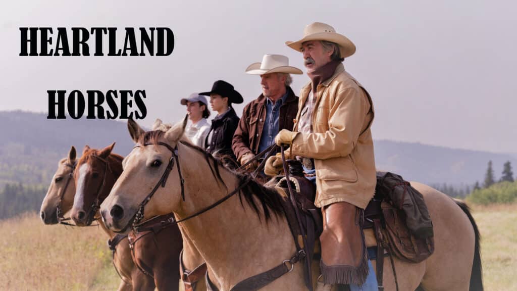 Heartland Horses Names List (All) Season