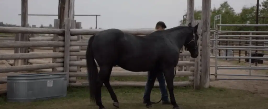 Ty Borden At Ranch