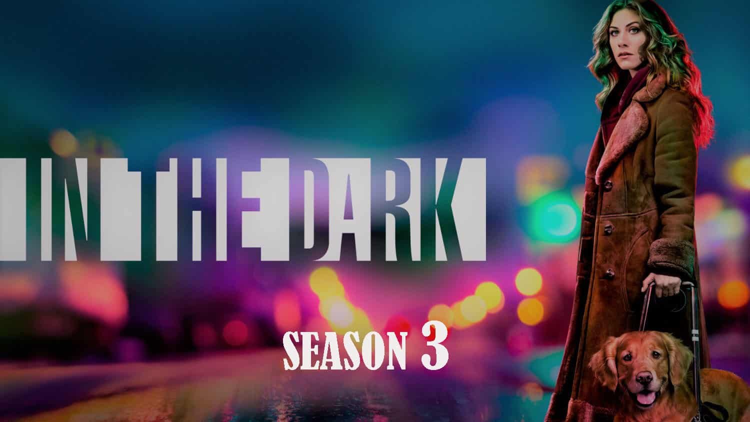 In The Dark Season 3 Release Date, Trailer-Predictions