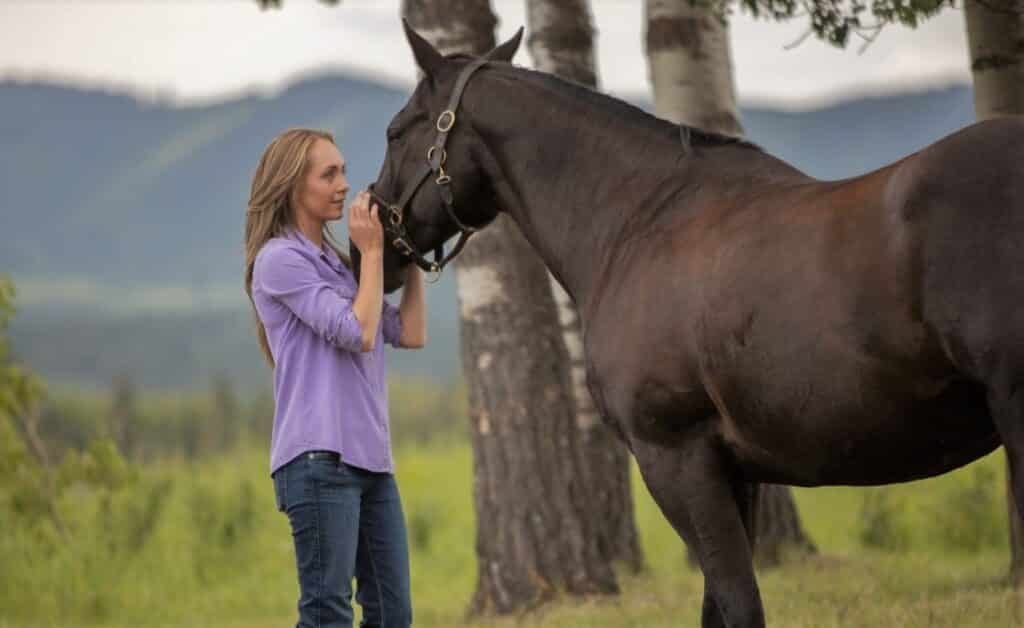 Heartland Horses- Amy's Horse Spartan