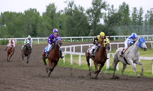 Heartland Horse Race