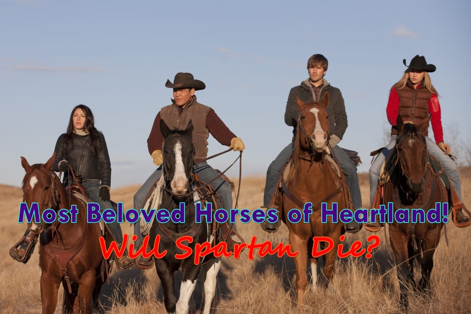 Most Beloved Horses of Heartland! Will Spartan Die?