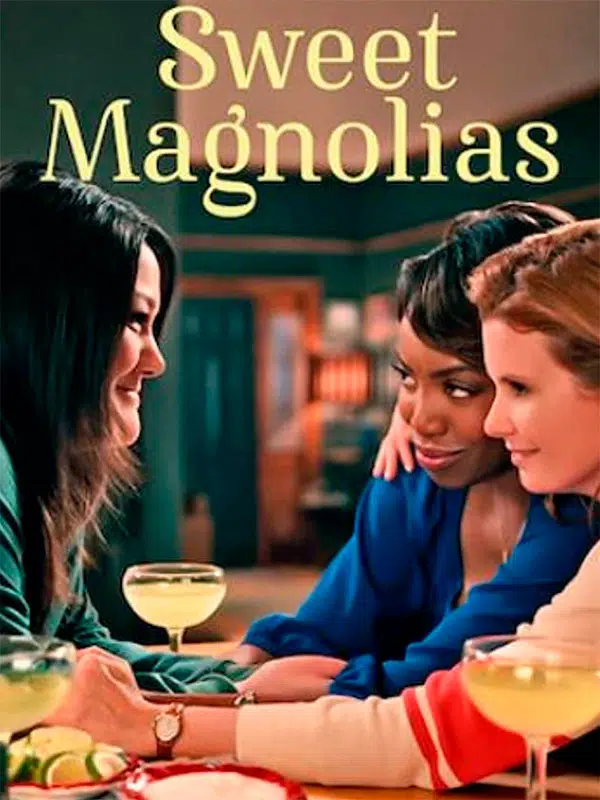 Best Netflix Small Town Dramas Sweet Magnolias