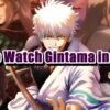 How to Watch Gintama in Order