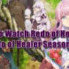 How to Watch Redo of Healer