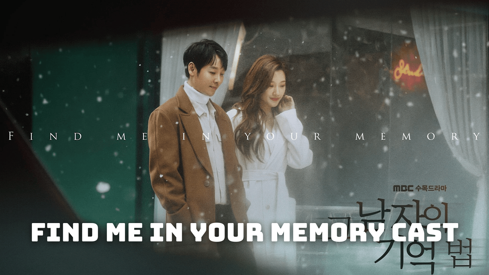 Find Me in Your Memory Cast - Ages, Partners, Characters