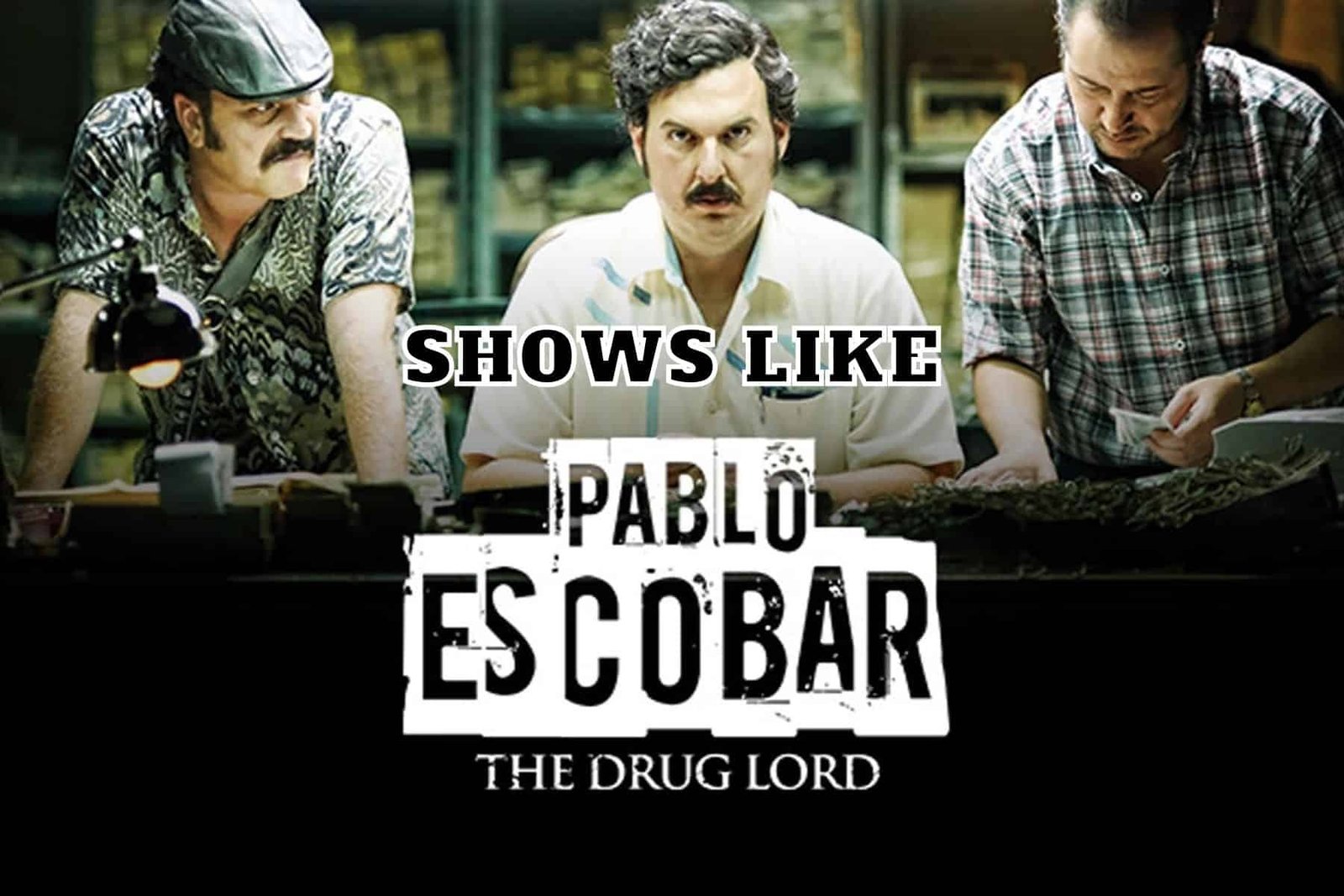 Shows Like Pablo Escobar The Drug Lord