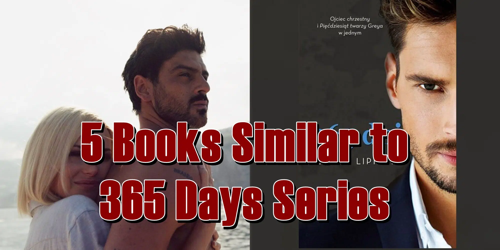 5 Books Similar to 365 Days Series