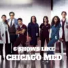 6 Shows Like Chicago Med