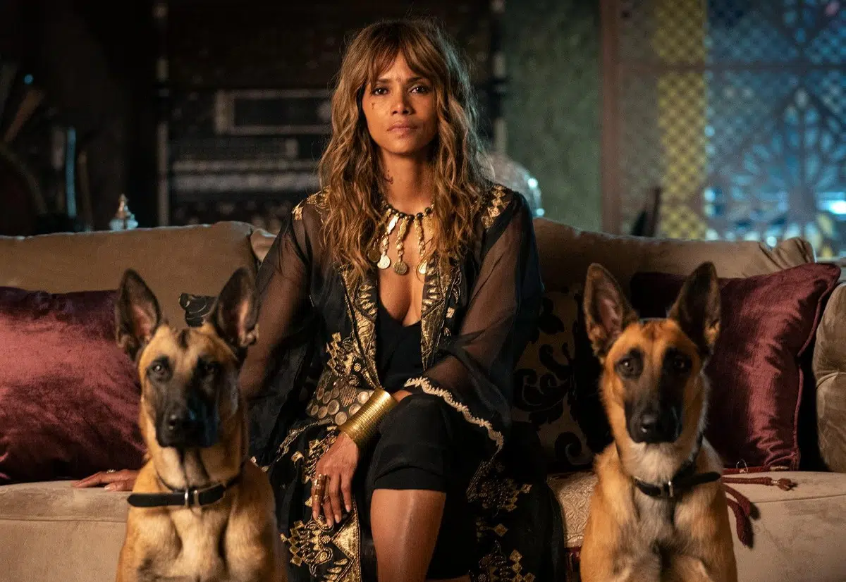 Halle Berry Performances - John Wick 3