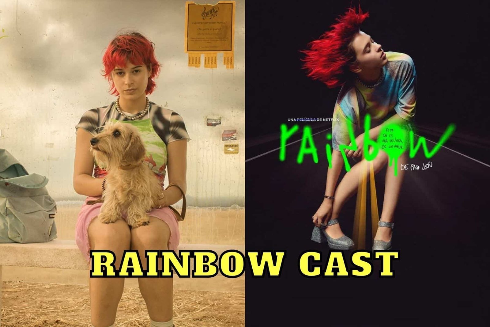 Rainbow Cast - Ages, Partners, Characters