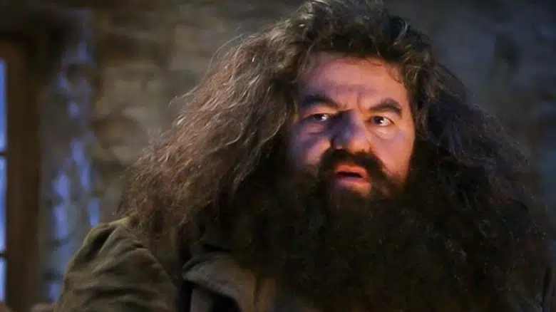 Best Harry Potter Characters - Hagrid