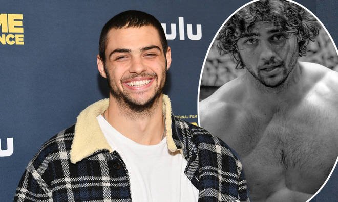 What is Noah Centineo doing now?