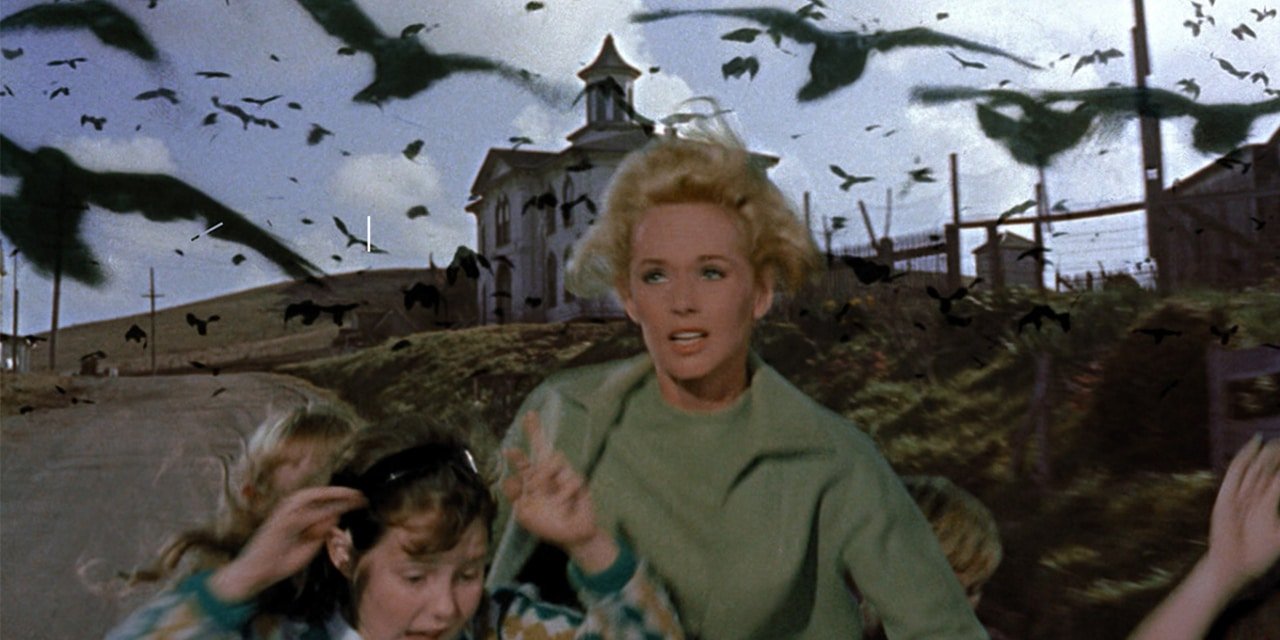 Alfred Hitchcock Movies Ranked - The Birds