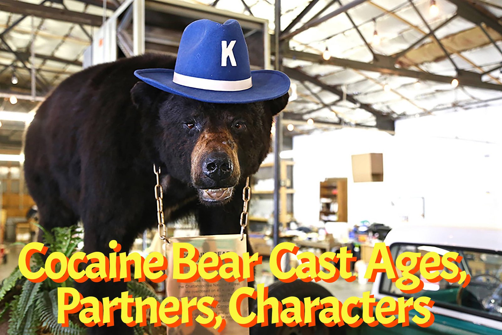 Cocaine Bear Cast - Ages, Partners, Characters