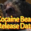 Cocaine Bear Release Date, Trailer